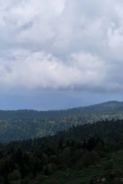 高加索国家公园的自然和景观 浓密的针叶树绿色的夏季森林和轮廓的山头地平线上的薄雾 多云天气下的山脉 田野和森林 — 图库照片