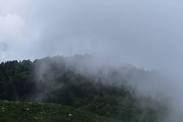雲は高密度の針葉樹林を包み込む ロシア国立公園の美しい大気神秘的な風景 霧の中の森と山の天気 — ストック写真
