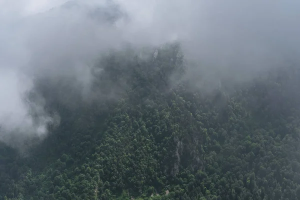 Krásná Krajina Národního Parku Ruska Pohled Shora Dronu Zelený Jehličnatý — Stock fotografie