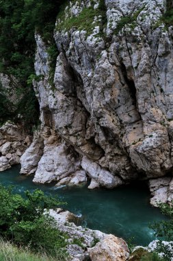 Fırtınalı dağ nehri gökyüzünden gelen mavimsi renkle kayalık vadiden hızla akar ve yoluna çıkan her şeyi temizler. Dağ geçidi ve yeşil bitki örtüsü arasında geniş bir nehir..