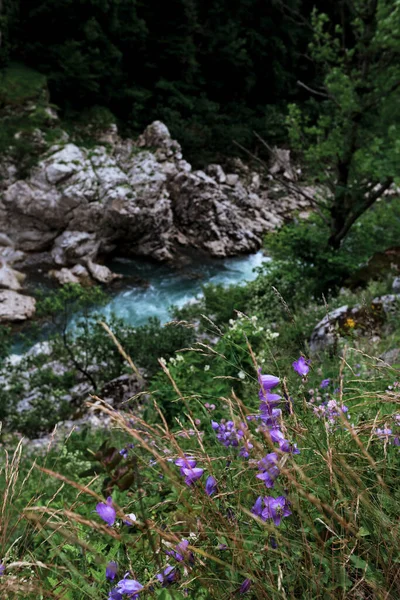 Tormentoso Río Transparente Montaña Con Matices Azulados Del Cielo Fluye — Foto de Stock