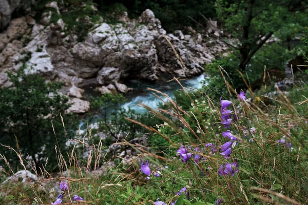 Tormentoso Río Transparente Montaña Con Matices Azulados Del Cielo Fluye — Foto de Stock