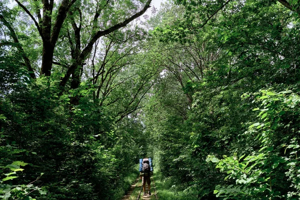 Homem Caucasiano Jovem Caminha Longo Ferrovia Entre Floresta Verão Verde — Fotografia de Stock