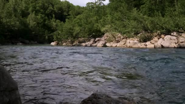 水平4Kビデオスローモーション 大きな石の間で峡谷の青みがかった色合いの美しい嵐の山の川 背景に濃い緑の落葉樹林 — ストック動画