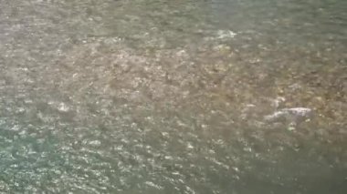 Mavimsi renkten oluşan güzel sakin dağ nehri o kadar temizdir ki dibini ve taşlarını görebilirsiniz. Dağ nehri dikkat çeker ve dikkat çeker. Yatay 4k gerçek zamanlı video.