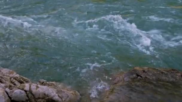 Schöne Stürmische Gebirgsfluss Von Bläulichem Farbton Fließt Schnell Zwischen Großen — Stockvideo