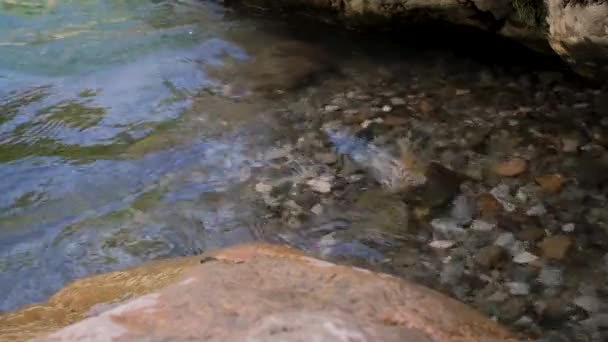 Mooie Kalme Bergrivier Spoelt Zijn Water Stenige Schone Kust Wateren — Stockvideo