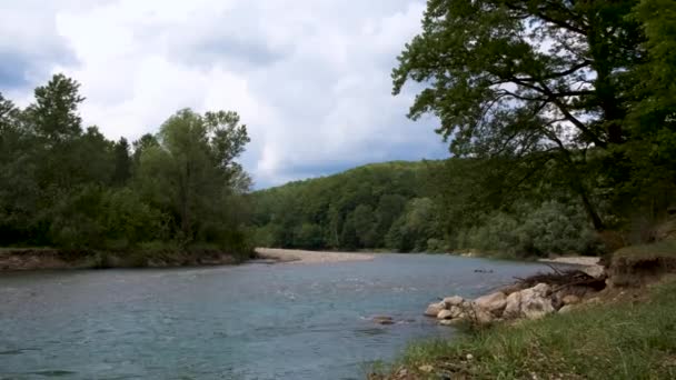 緑豊かな夏の森を背景に 石の間をゆっくりと流れる青い色合いの美しい穏やかな山の川 山の川は魅力的で注目を集めています 水平4Kリアルタイムビデオ — ストック動画