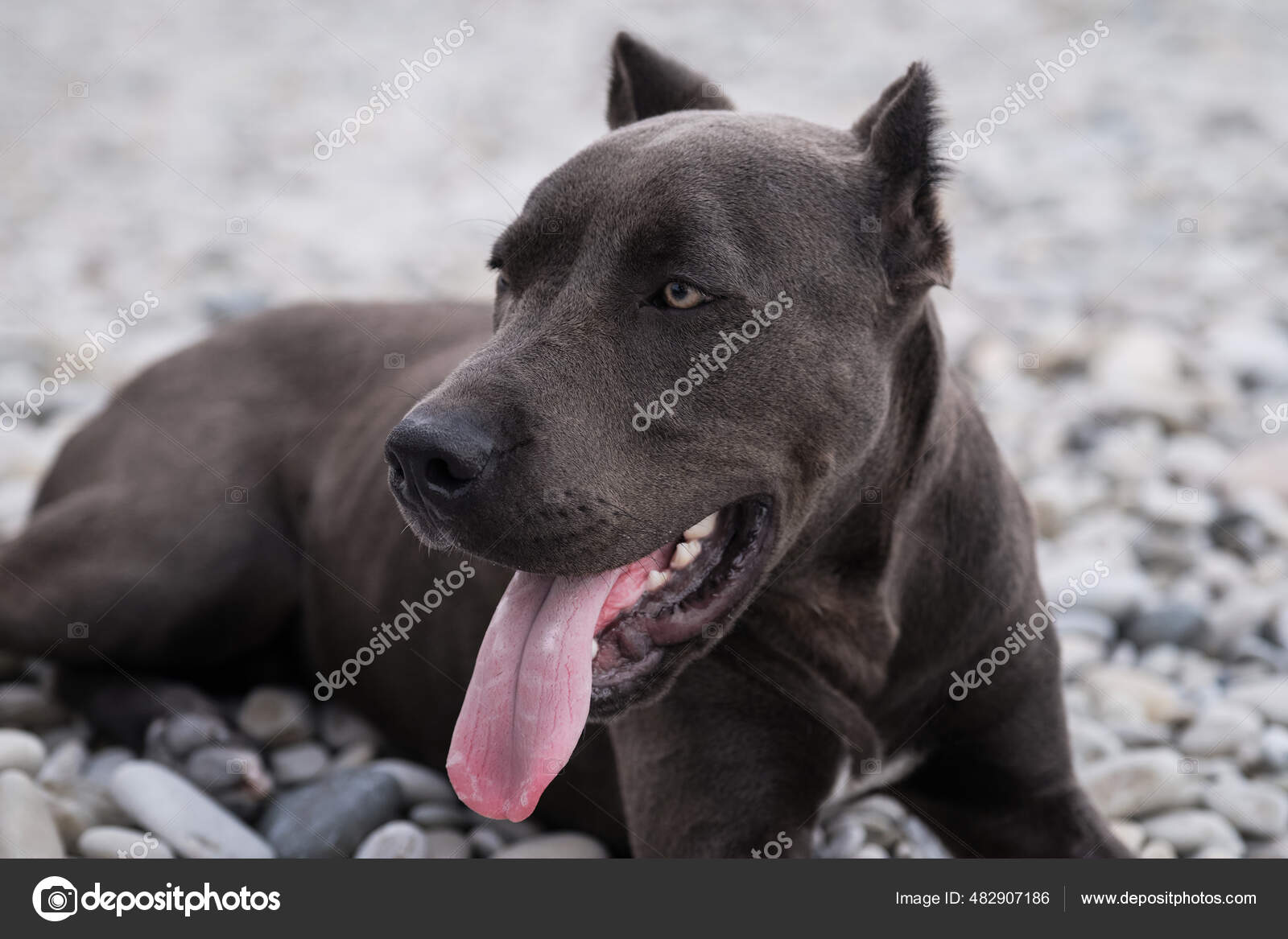 Massimo “the great” (@massimo_thegreat) • Instagram photos and videos, image size:1600x1167