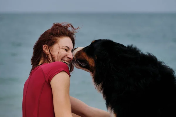 Mulher Cabelos Ruivos Muito Caucasiano Bernese Mountain Dog Abraçar Contra — Fotografia de Stock