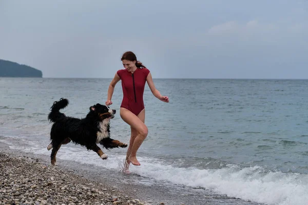 Caucasian cute red haired woman in swimsuit runs around sea with her friend big dog and spray flies in different directions. Happy owner of Bernese Mountain Dog on vacation on beach.