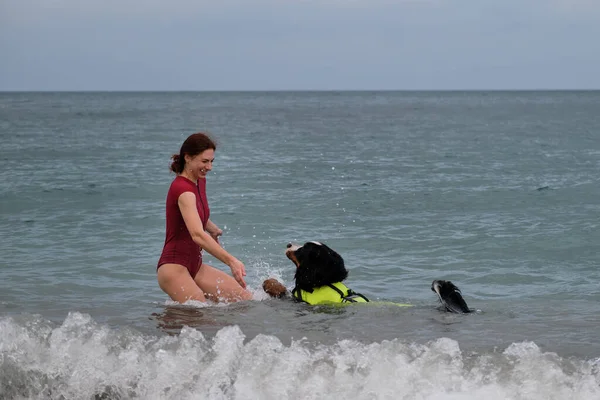 Young cute Caucasian red haired girl teaches her dog to swim in sea in special life jacket. Bernese Mountain Dog is lifeguard and bodyguard on water and on land. Training of rescue dog in pond.