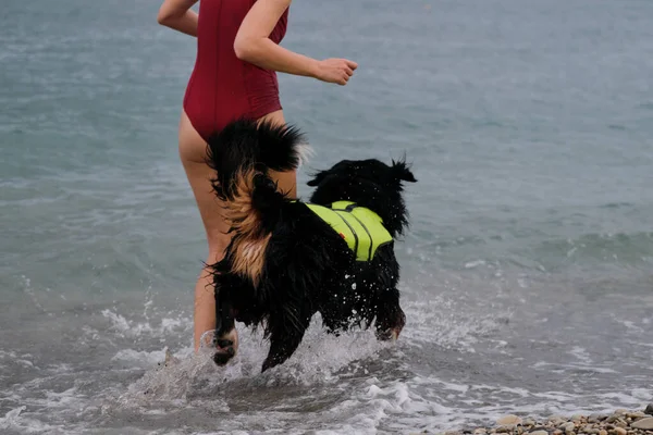 Young cute Caucasian red haired girl teaches her dog to swim in sea in special life jacket. Bernese Mountain Dog is lifeguard and bodyguard on water and on land. Training of rescue dog in pond.