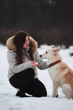 Uzun saçlı güzel beyaz kız arkadaşı beyaz tüylü köpeğiyle kış parkında oturuyor. Kar içinde sahibinin karısı olan melez çoban köpekleri ve kurt köpekleri. Tatilleri doğada köpeklerle geçirmek.