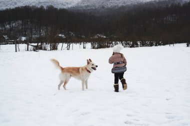 Sıcak örgü şapkalı ve ceketli küçük bir kız kış parkında melez beyaz bir köpekle yürüyor. Melez çoban ve Husky çocukla iyi geçinir. Köyde kış tatili, temiz havada..