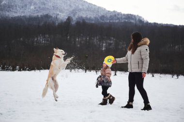 Etkin, enerjik, melez Shepherd ve Husky. Anne kızı ve evcil hayvanı. Beyaz kadın ve kız köpekleriyle karda oynuyorlar. Melez köpek yükseğe sıçrar ve uçan daireyi ağzıyla yakalamaya çalışır..