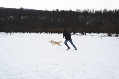 Etkin ve enerjik köpek cinsi Shepherd ve Husky sahibinden hızla kaçar. Noel tatilinde evcil hayvanla yürü. Barınaktan köpeğe mutlu bir hayat. Adam kış parkında köpekle koşuyor..