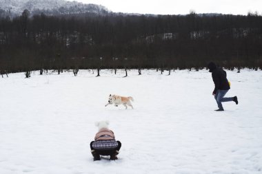 Noel tatilinde evcil hayvanla yürü. Adam kış parkında köpek üstüne köpek koşturuyor ve kızı oturuyor ve izliyor. Aktif ve enerjik karışım. Güçlü köpek sahibinden hızla kaçar..