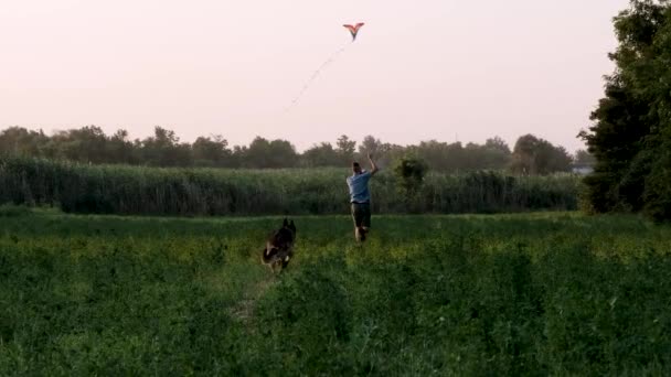 Lgbt Flaggendrachen Junger Kaukasischer Mann Mit Dreadlocks Läuft Bei Sonnenuntergang — Stockvideo