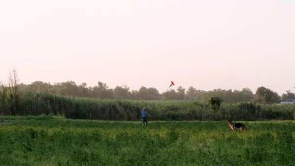 Cometa Bandera Lgbt Joven Hombre Caucásico Con Rastas Corre Alrededor — Vídeo de stock