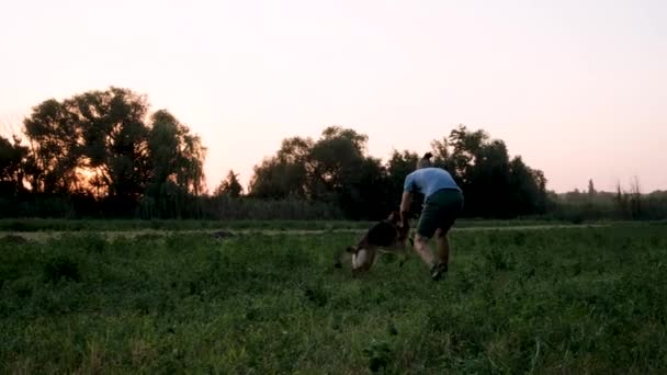 Joven Lindo Hombre Caucásico Con Rastas Corre Alrededor Del Campo — Vídeo de stock