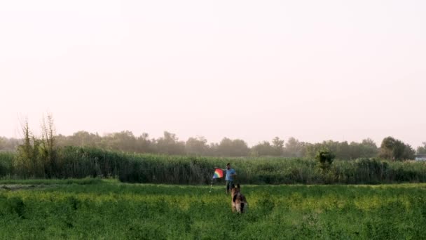 一个白种人 留着胡子和可怕的头发 试图在野外放风筝 德国牧羊犬仔细地看着他 然后离开了 慢动作4K视频 Lgbt旗形风筝 — 图库视频影像