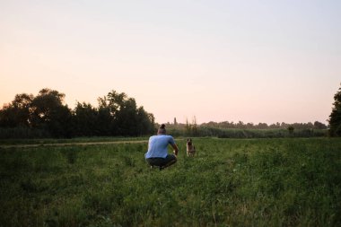 Sahibi tarlada çömelmiş Alman çoban köpeğinin kollarına koşmasını bekliyor. Sakallı ve rastalı genç yakışıklı beyaz adam sıcak bir yaz akşamı köpekle parkta yürüyor..