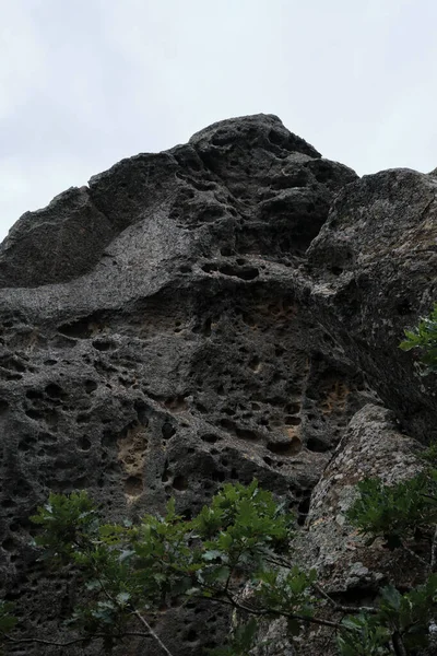 Fels Hat Eine Ungewöhnliche Geschwungene Form Platz Wald Für Die — Stockfoto
