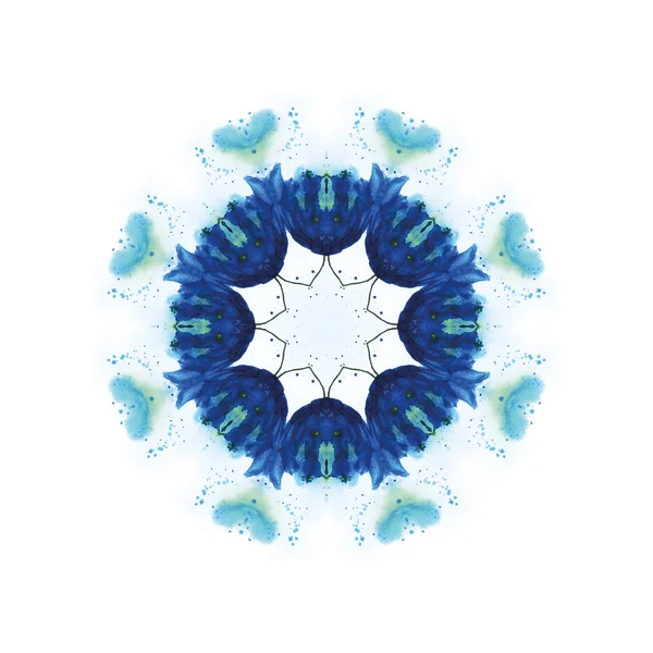 Aquarelle Bleuet — Photo
