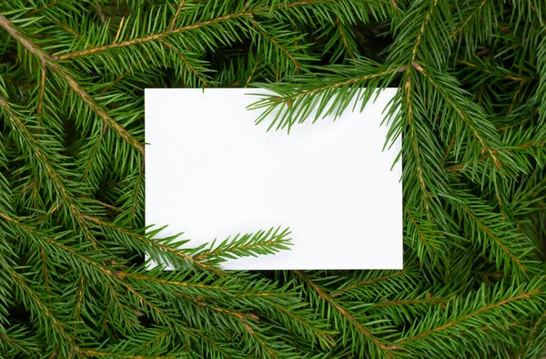 Концепція Нового року 2021, Різдво. Зелені гілки ялини, біла рамка для тексту . — стокове фото