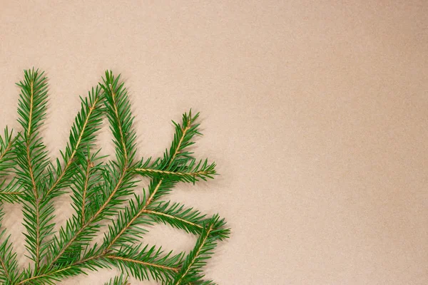 Традиційна зелена різдвяна ялинка благородна ялинка рамка на фоні паперу ремесел з копіювальним простором . — стокове фото