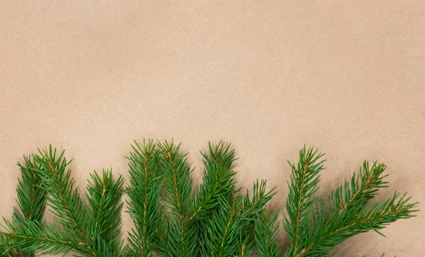Традиційна зелена різдвяна ялинка благородна ялинка рамка на фоні паперу ремесел з копіювальним простором . — стокове фото