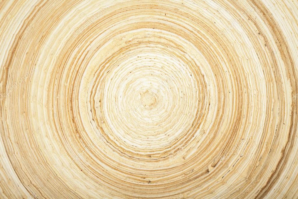 Texture of modern wood circle rings — Stock Photo © sebastiangauert