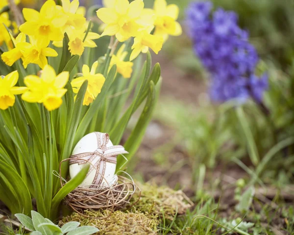 Decorazione floreale carino con uovo di Pasqua — Foto Stock