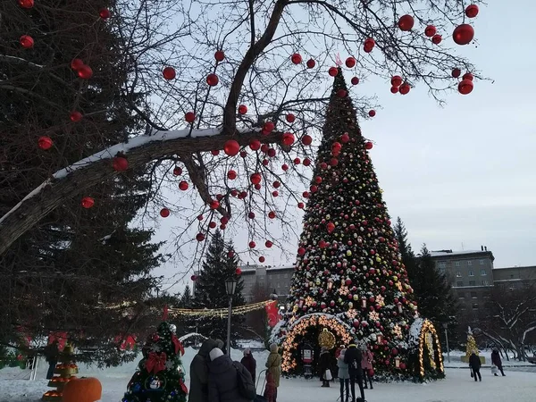 Elegant Christmas Tree Opera House City Novosibirsk — Stock Photo, Image