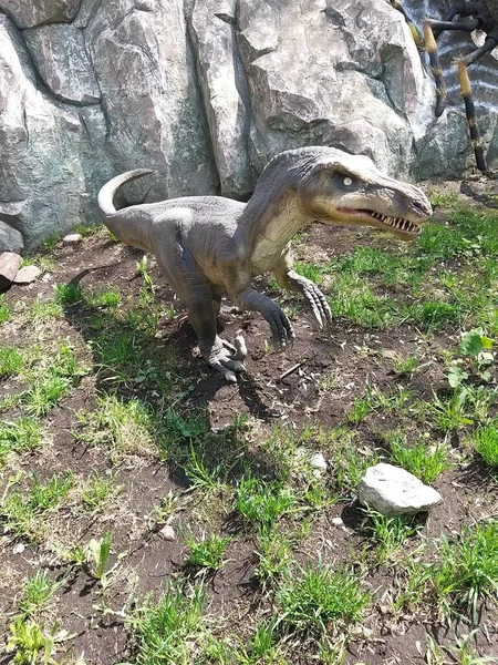 Tiranossauro Dinossauro Recheado Realista — Fotografia de Stock
