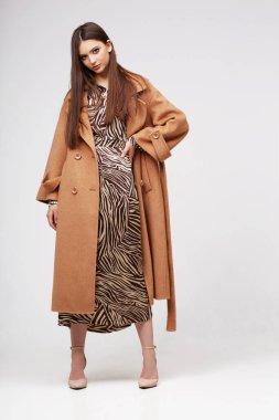 Modayı takip eden kahverengi ceketli zarif bir bayan. Zebra desenli elbise, izole stüdyo çekimi.