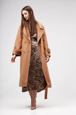 Modayı takip eden kahverengi ceketli zarif bir bayan. Zebra desenli elbise, izole stüdyo çekimi.