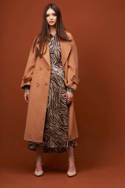 Modayı takip eden kahverengi ceketli zarif bir bayan. Zebra desenli elbise, izole stüdyo çekimi.