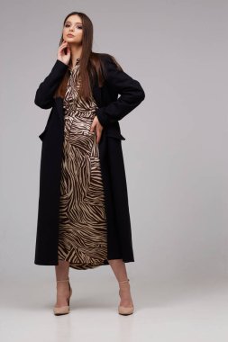 Modayı takip eden siyah ceketli zarif bir bayan. Zebra desenli elbise, izole stüdyo çekimi.