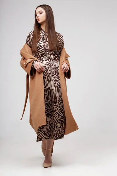 トレンディーな茶色のコートの若いエレガントな女性 Zebraのプリントドレス 隔離されたスタジオショット — ストック写真