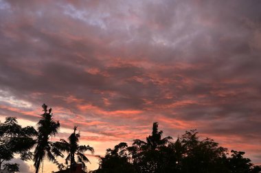 Yanan günbatımı bulutlu gökyüzü arkaplanı ve ağaçların silueti yağmur öncesi ön planda