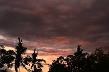 Yanan günbatımı bulutu gökyüzü arkaplanı ve ağaç silueti önplanı