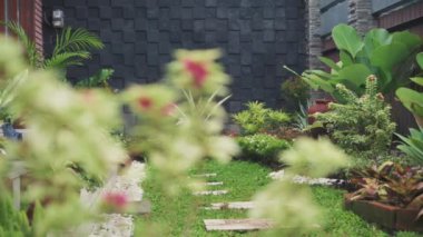 Yeşil bahçe görüntüsü yavaş yavaş odak noktası veya bougainvillea çiçeğinin kapanması için raf odağı - 10 Mart 2021: Yogyakarta, Endonezya
