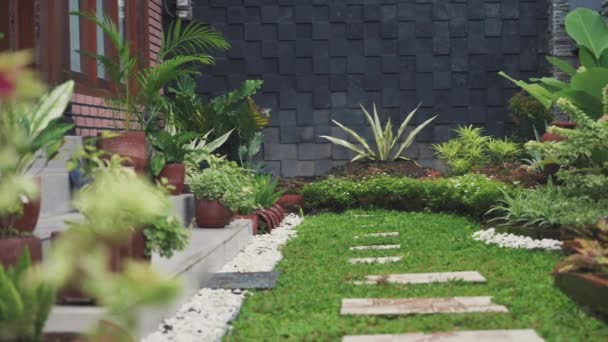 さまざまな熱帯植物で撮影された緑の庭の景色のパニング 3月2021 ジョグジャカルタインドネシア — ストック動画