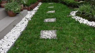 Yeşil çimenli güzel yeşil bahçe, dekoratif bitki ve yürüyüş yolu