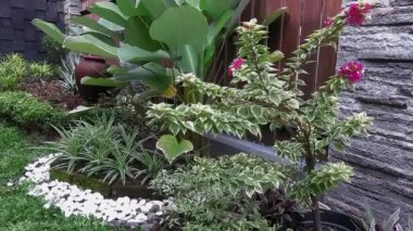 Güzel yeşil bahçe manzarası