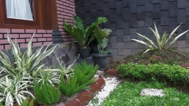 Bellissimo giardino verde tropicale con erba e decorazione in pietra — Video Stock