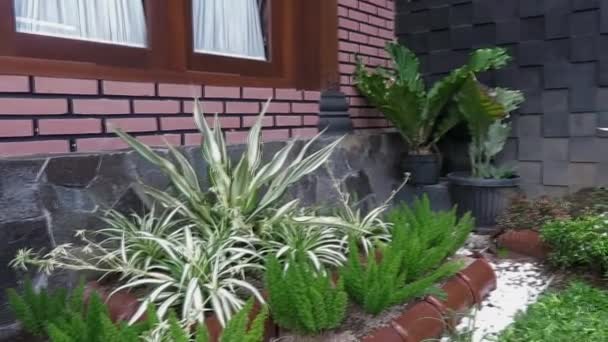 美丽的热带绿色花园室外房屋外观，2021年3月22日。印度尼西亚日惹 — 图库视频影像