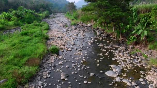 Sockel Kippt Blick Auf Flusslandschaft Mit Vulkanischem Felsbrocken Und Wasserfluss — Stockvideo